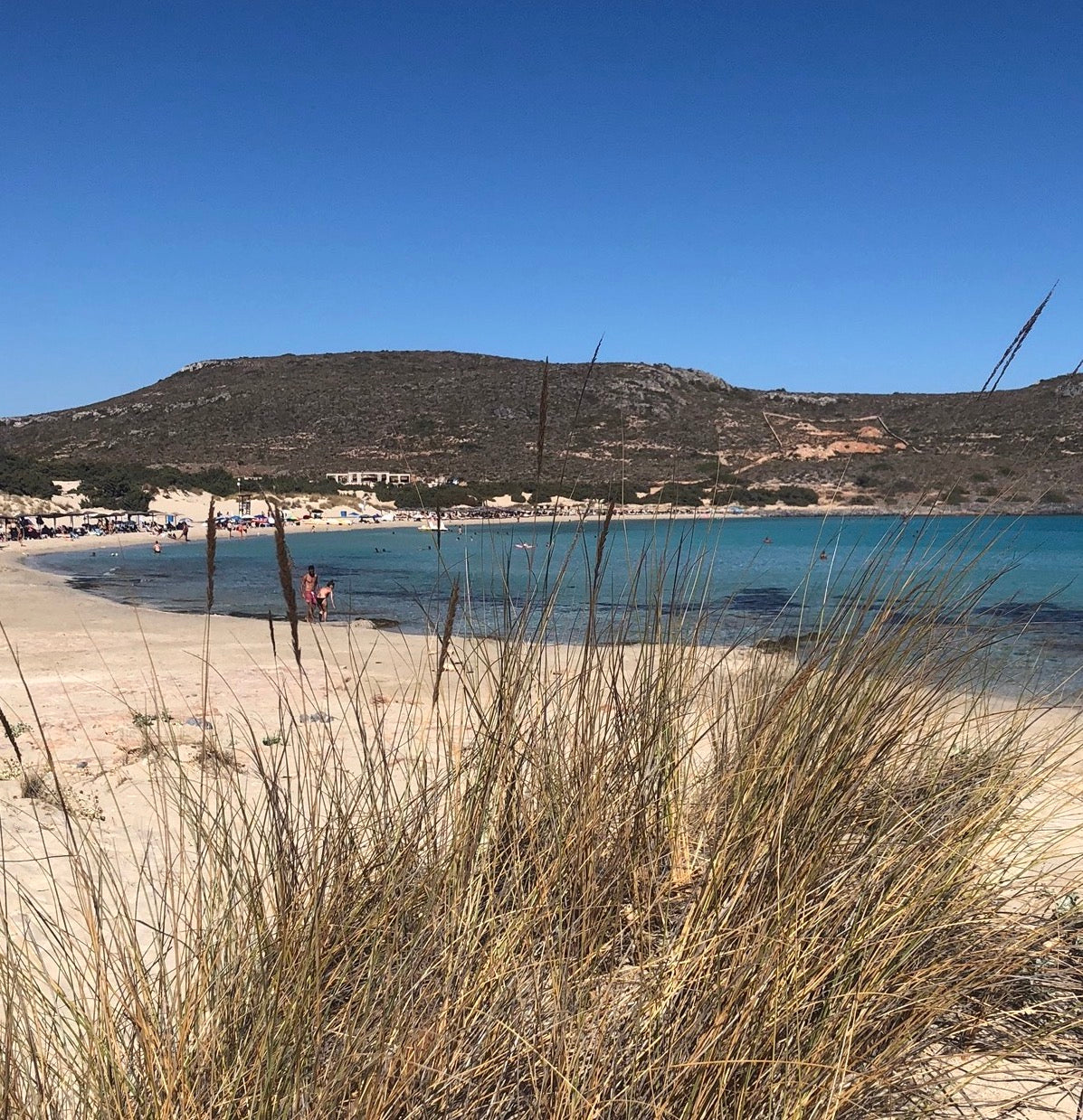 Olivenöl aus Griechenland