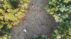 Hello Greece Story Image Film